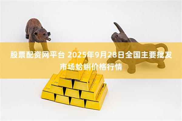 股票配資網(wǎng)平臺 2025年9月28日全國主要批發(fā)市場蛤蜊價格行情